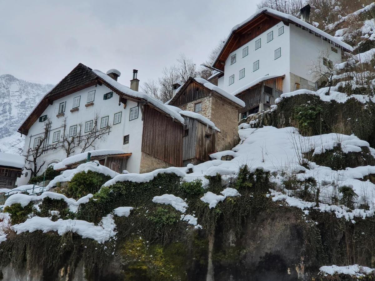 Haus Salzkammergut Обертраун Экстерьер фото