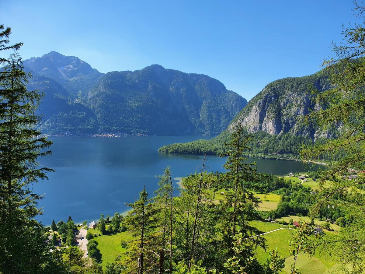 Haus Salzkammergut Обертраун Экстерьер фото
