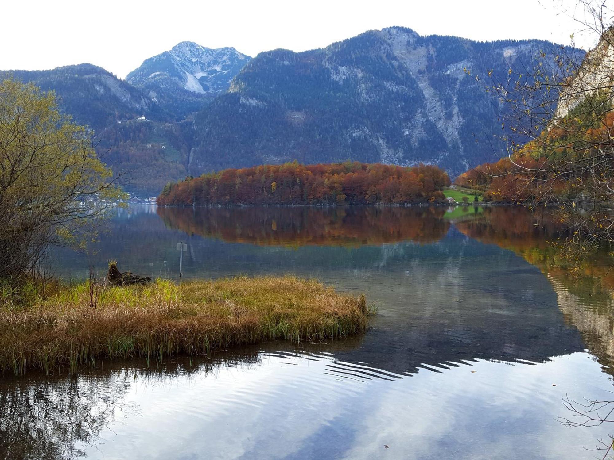 Haus Salzkammergut Обертраун Экстерьер фото