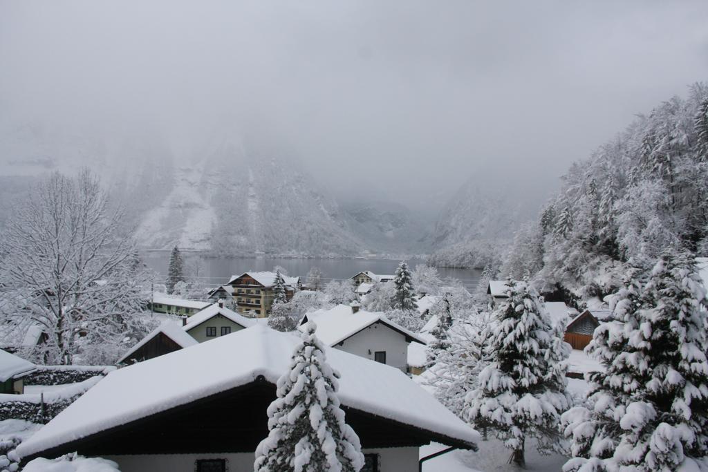 Haus Salzkammergut Обертраун Экстерьер фото